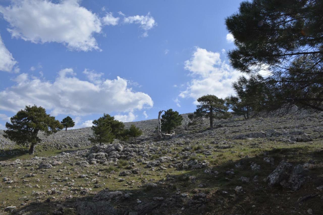 Chorros Del Mundo Turismo Rural Affittacamere Riópar Esterno foto