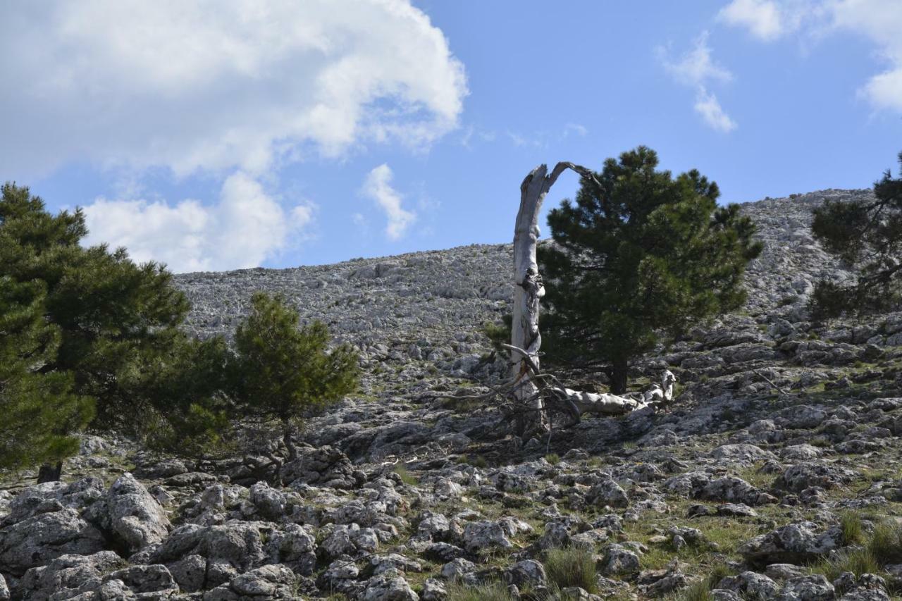 Chorros Del Mundo Turismo Rural Affittacamere Riópar Esterno foto