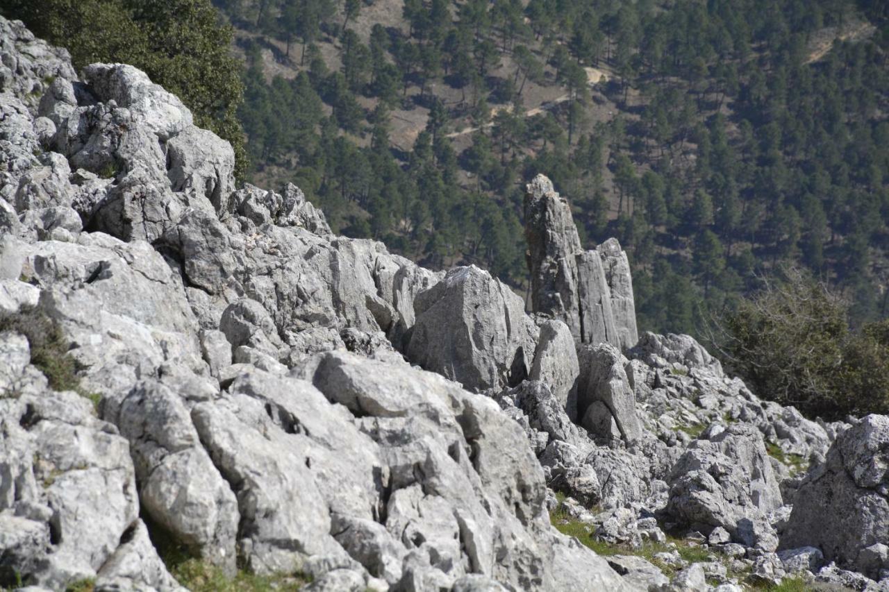 Chorros Del Mundo Turismo Rural Affittacamere Riópar Esterno foto